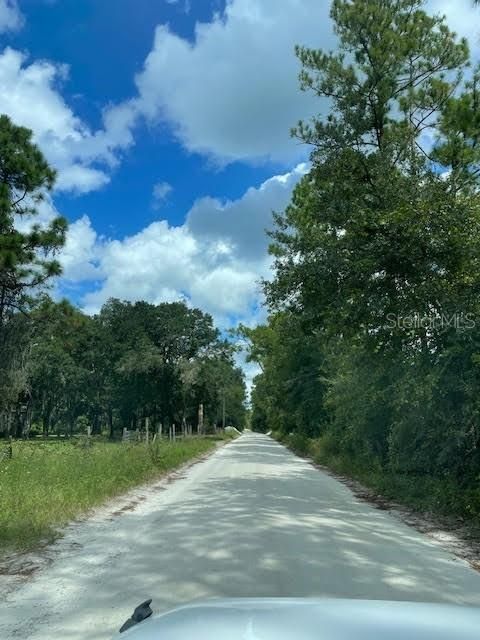 For Sale: $99,000 (3.85 acres)