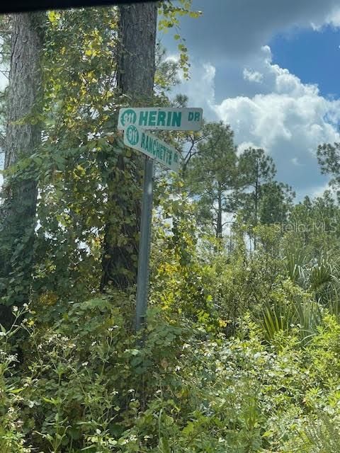 For Sale: $99,000 (3.85 acres)