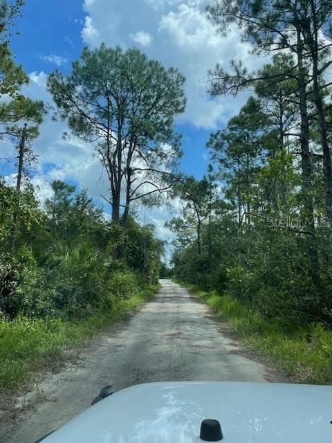 For Sale: $99,000 (3.85 acres)