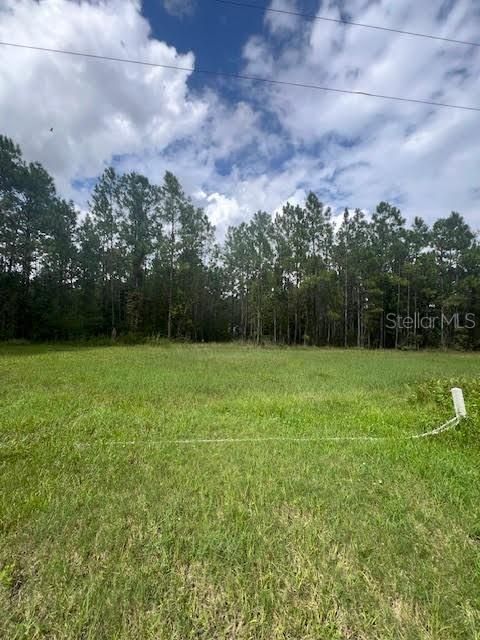 For Sale: $99,000 (3.85 acres)