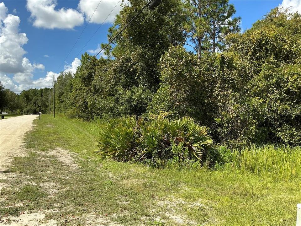 Activo con contrato: $24,900 (0.46 acres)