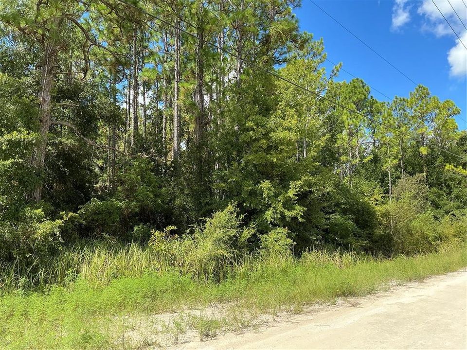 Active With Contract: $24,900 (0.46 acres)