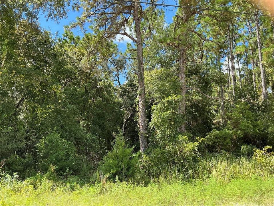 Active With Contract: $24,900 (0.46 acres)