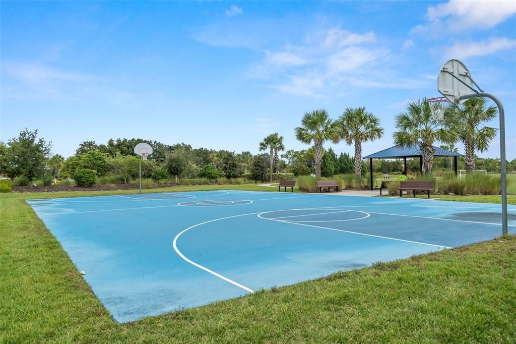 Basketball court