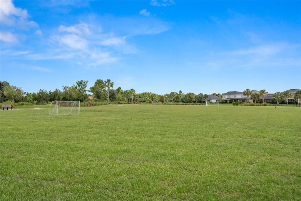 Soccer field