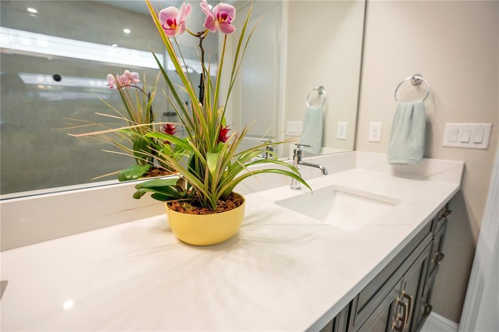 Master Bathroom Sink