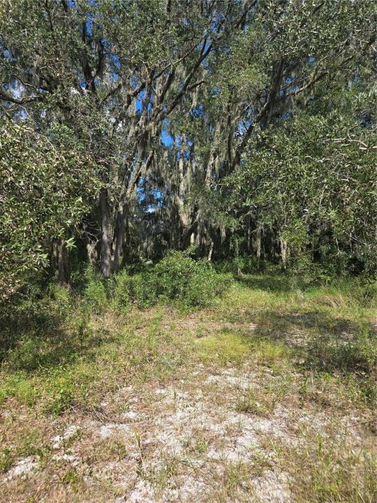 For Sale: $38,000 (0.28 acres)