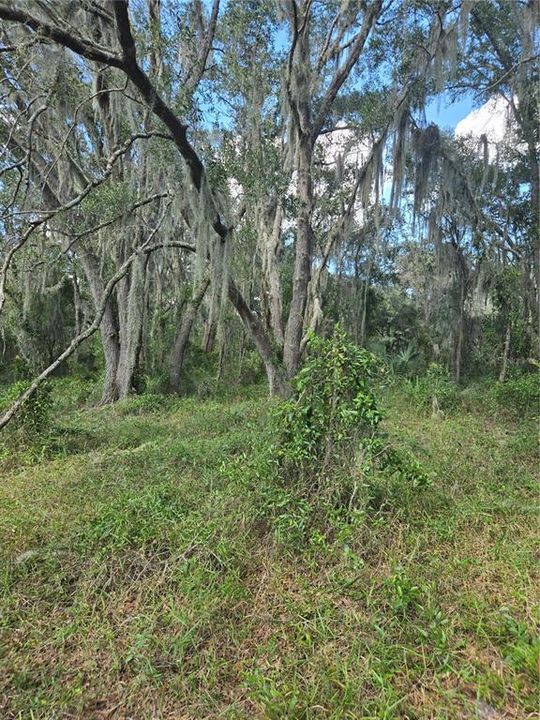 For Sale: $38,000 (0.28 acres)