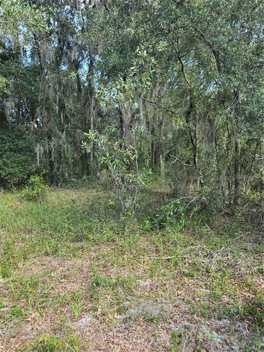 For Sale: $38,000 (0.28 acres)