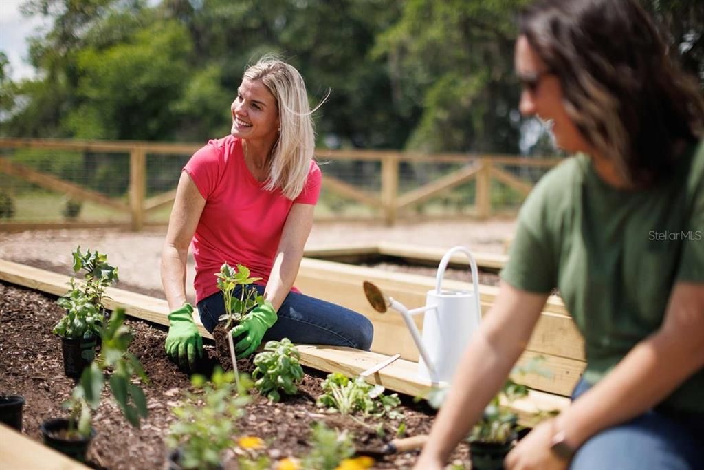 Community Garden