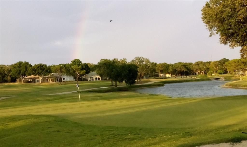 View of the Fairway from the pool