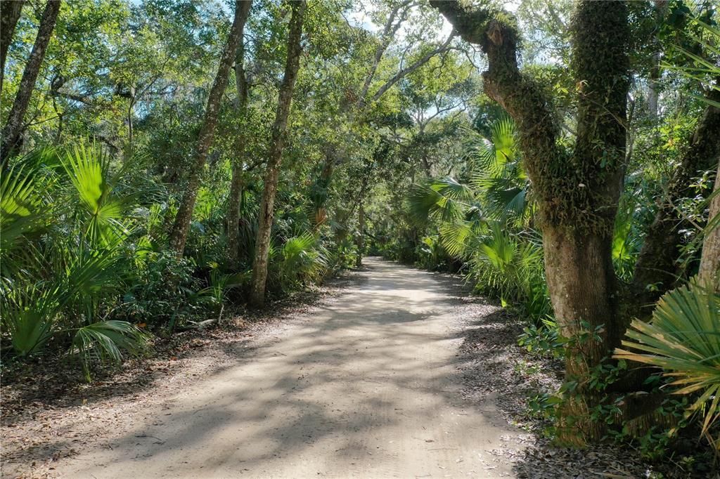 Walkway to the Intracoastal Boat Dock and Kayaks