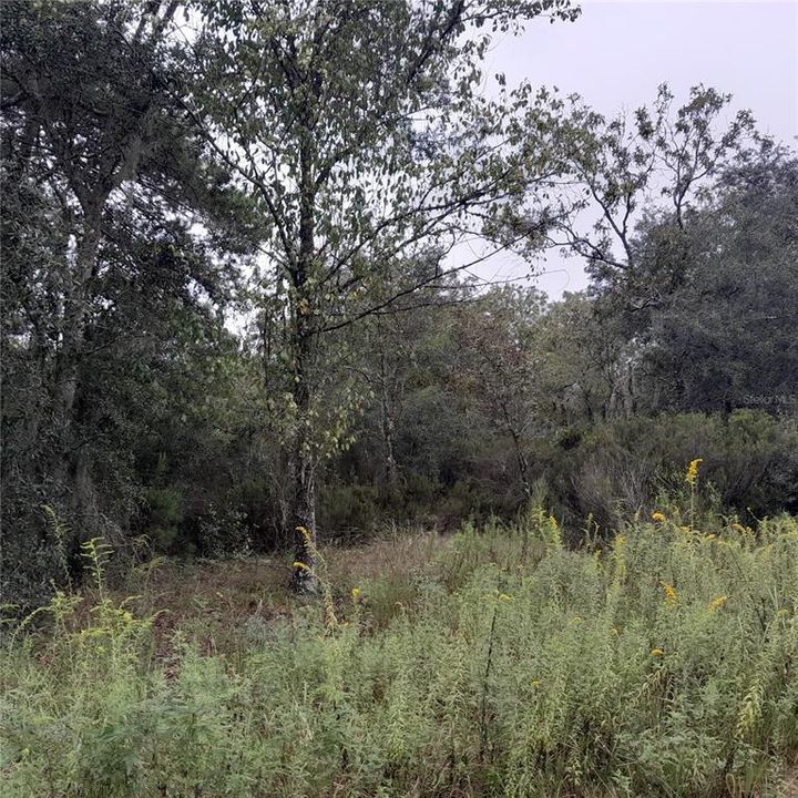 En Venta: $24,900 (1.00 acres)