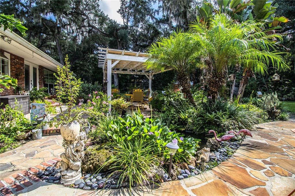 Garden with pond