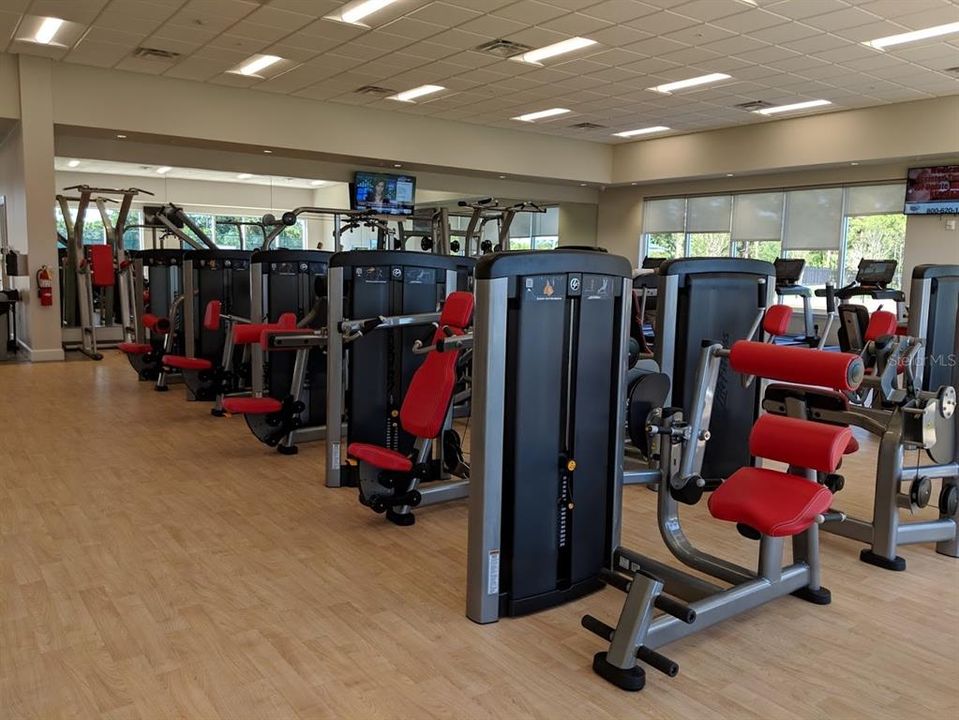 FULL FITNESS EQUIPMENT FOR ALL YOUR FITNESS NEEDS