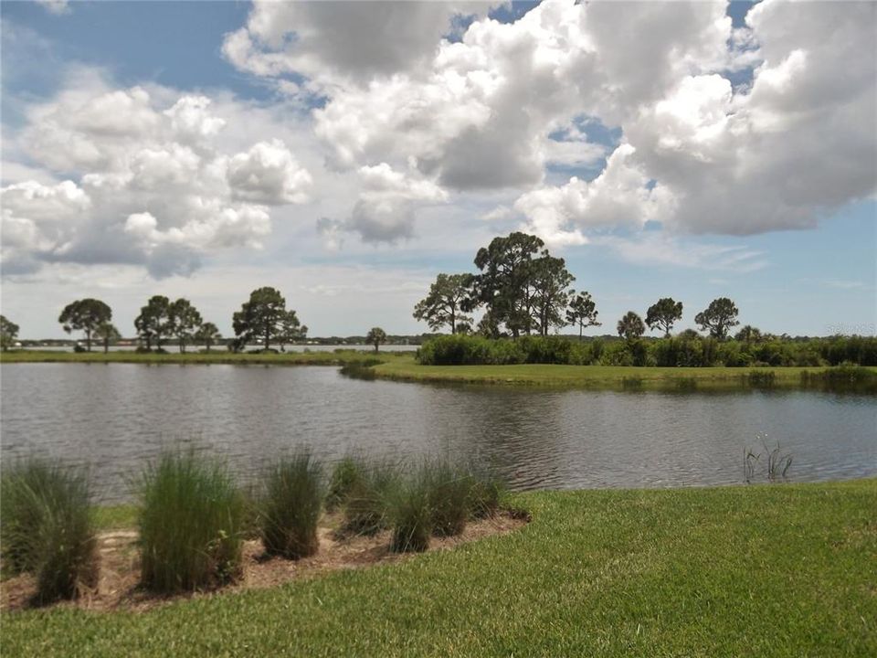 ONE OF MANY PONDS OVERLOOKING MYAKKA RIVER IN RIVERWOOD