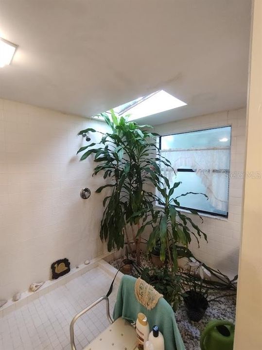 Escape in an indoor tropical oasis OR remove for an enlarged walk in shower