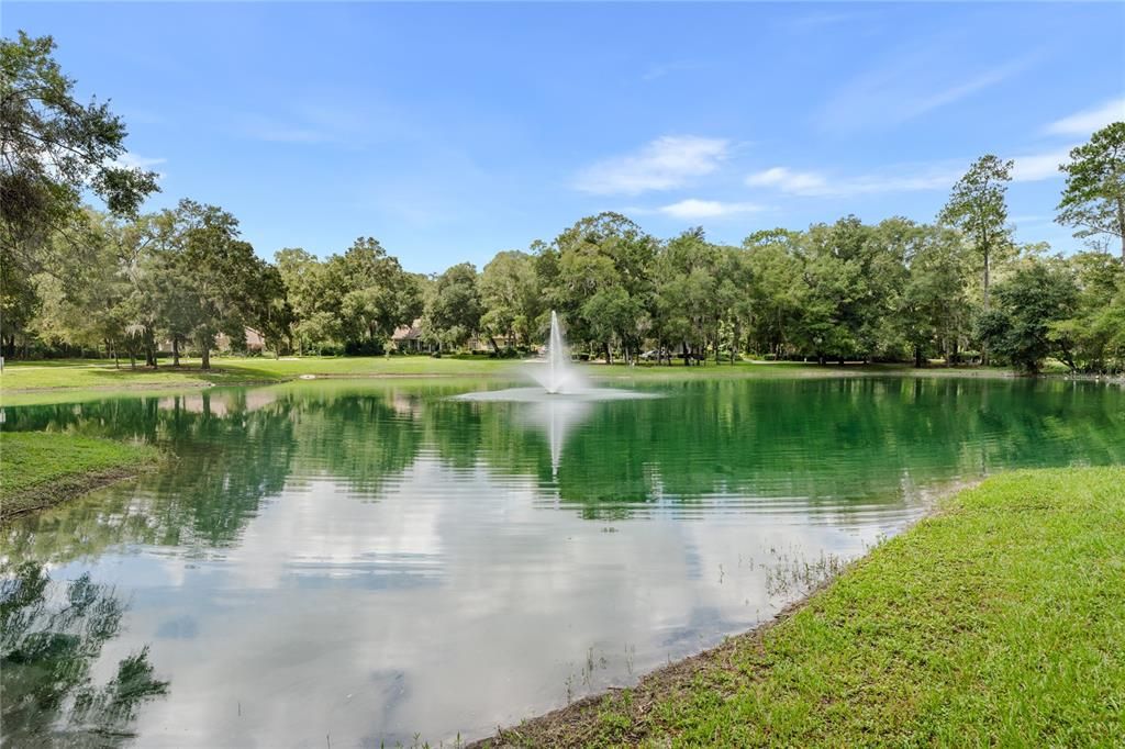 Neighborhood Pond