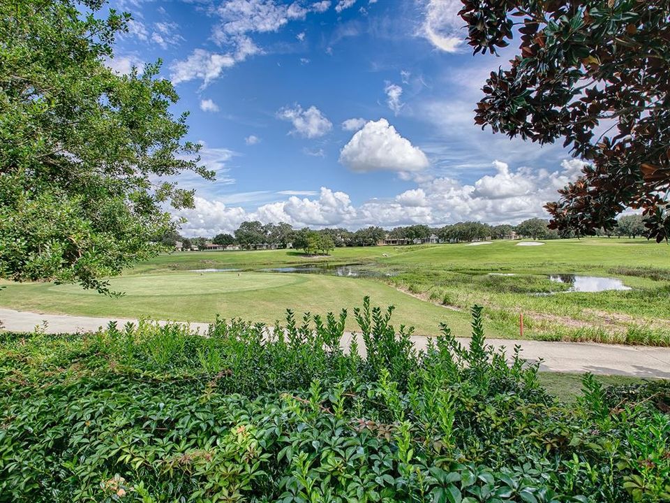 BEAUTIFUL GOLF COURSE AND WATER VIEW.