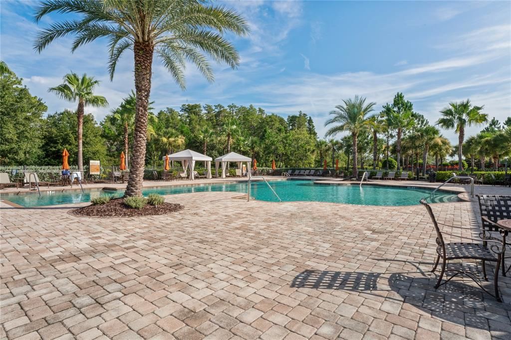 Amenity Center pool