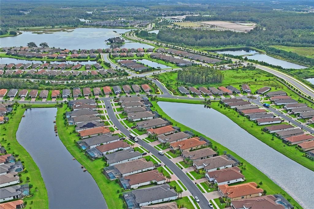 neighborhood aerial view