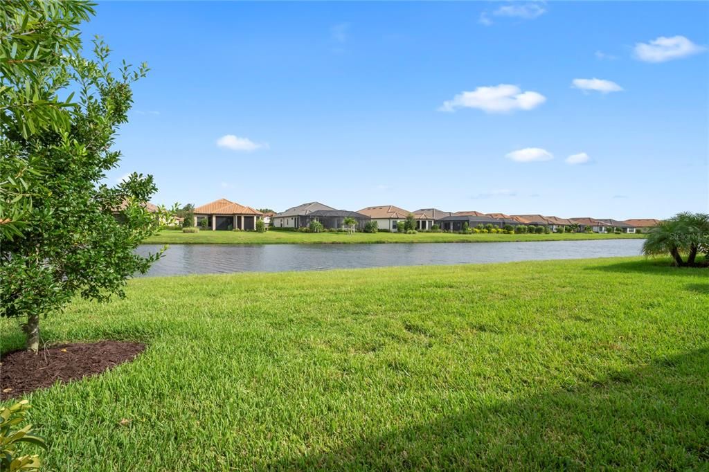 backyard view of water