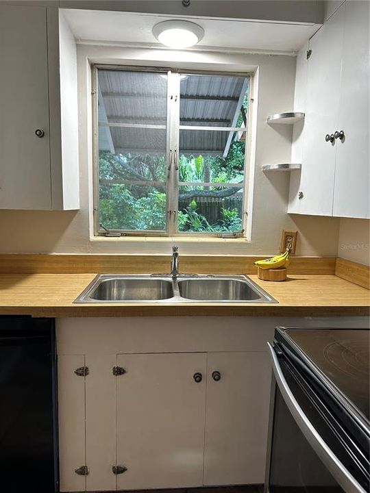 kitchen window overlooking back yard