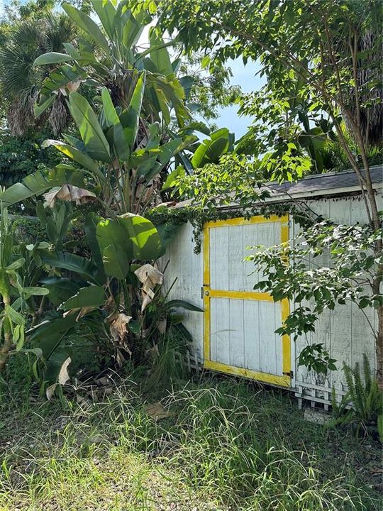 Storage shed