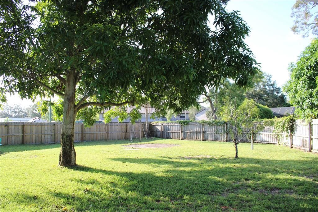 Incredible fenced yard