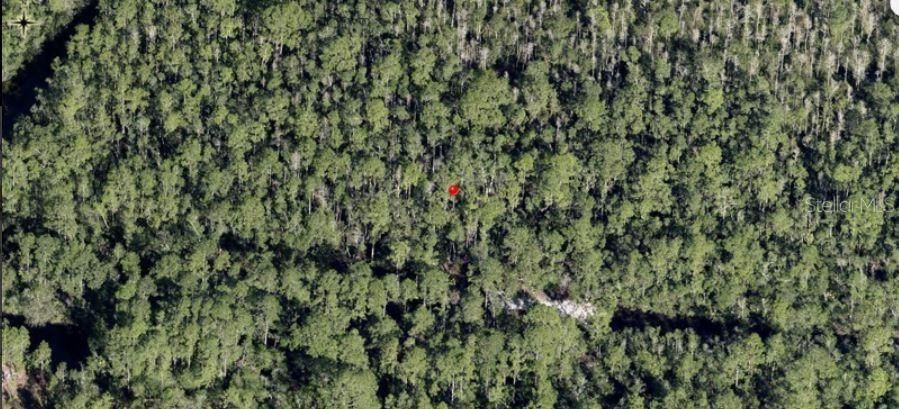 For Sale: $29,000 (1.26 acres)