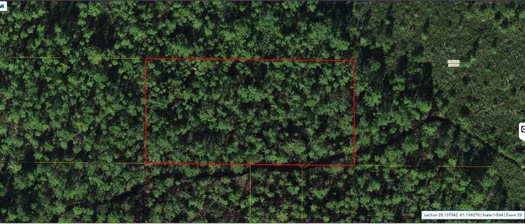 For Sale: $29,000 (1.26 acres)