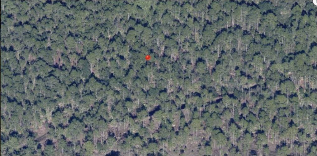 For Sale: $29,000 (1.26 acres)