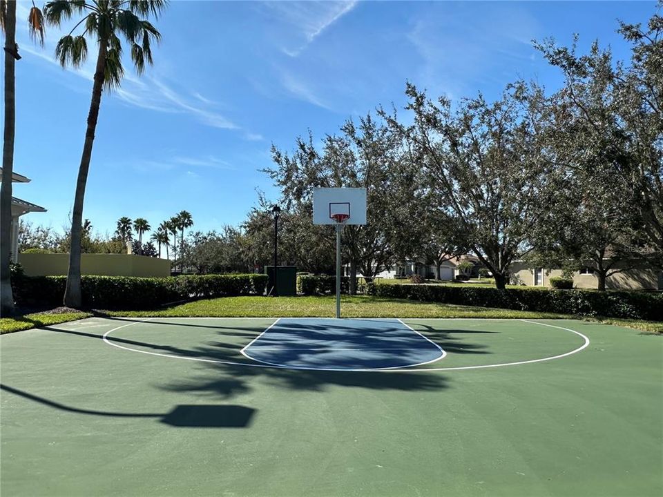 Basketball Court