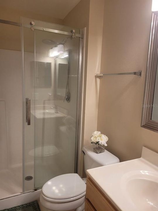 Master with new Shower Door