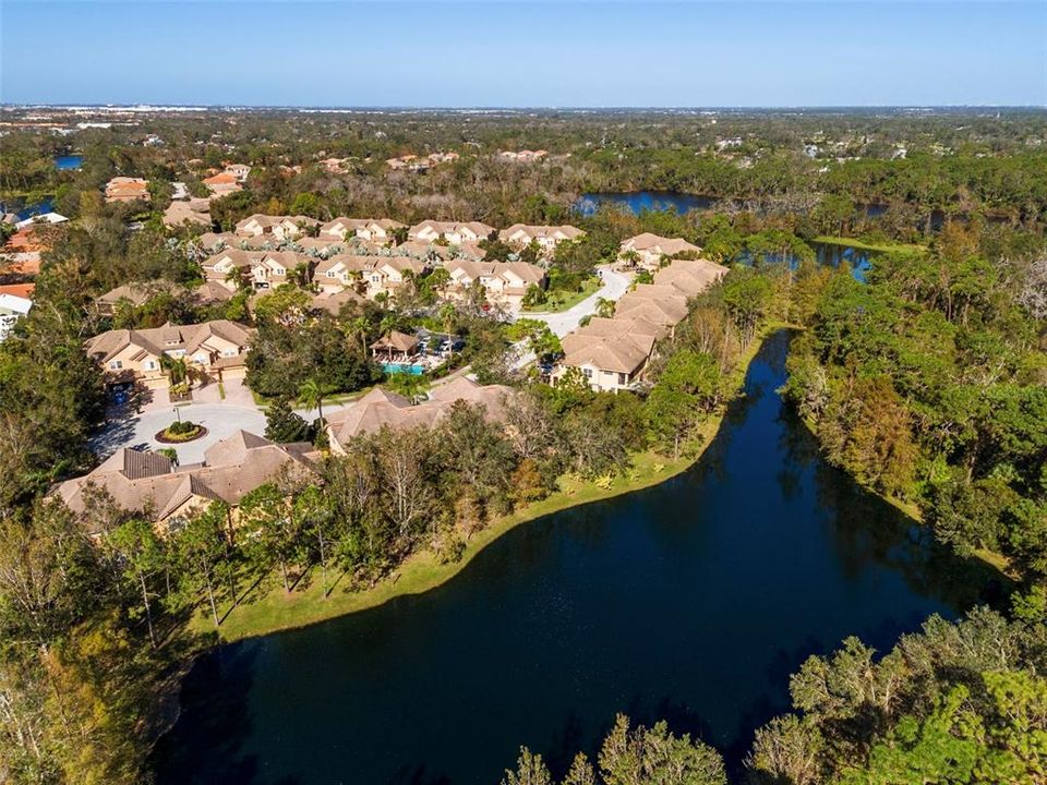 sprawling backyard pond view