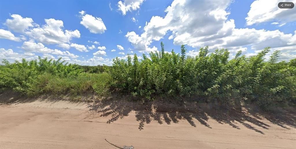 For Sale: $29,000 (1.23 acres)