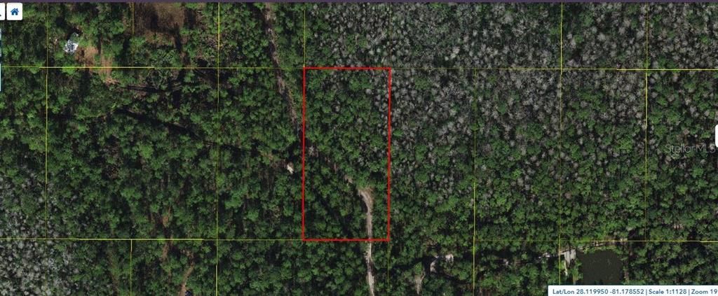 На продажу: $29,000 (1.23 acres)