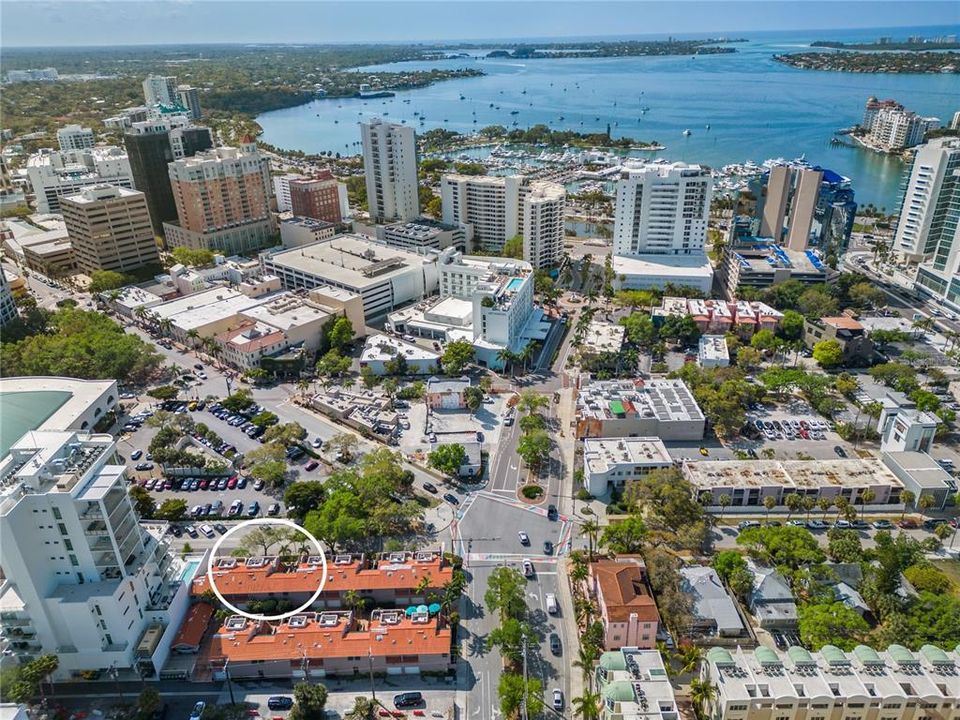 Aerial with Sarasota Bay