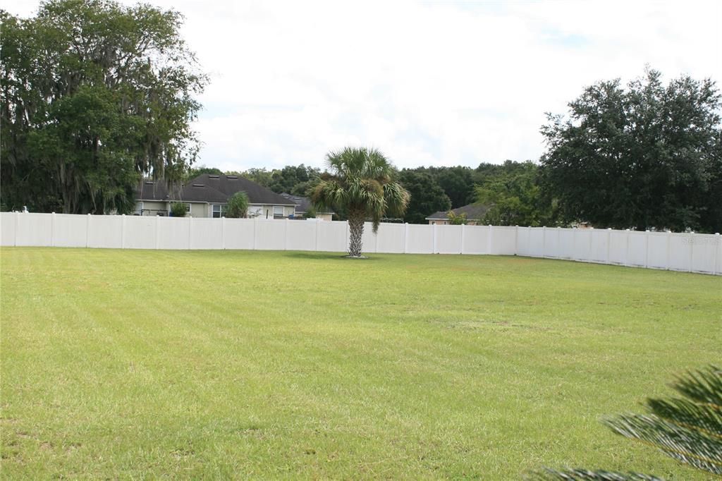 LARGE FENCED YARD