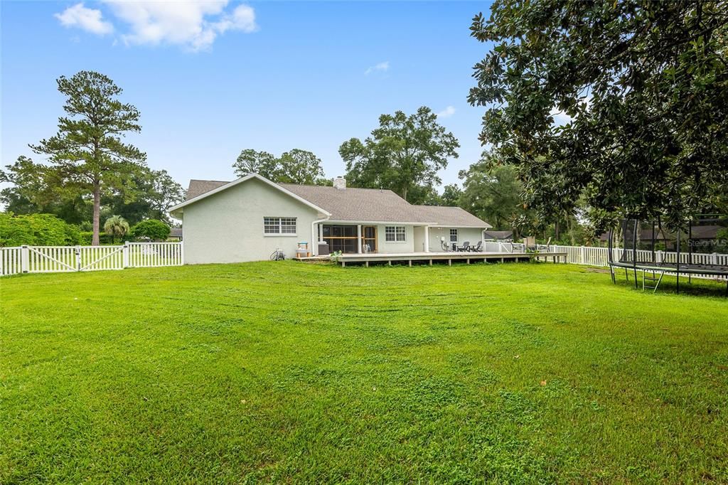 Expansive side yard