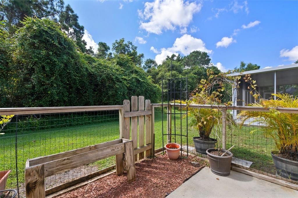 Backyard Garden Area