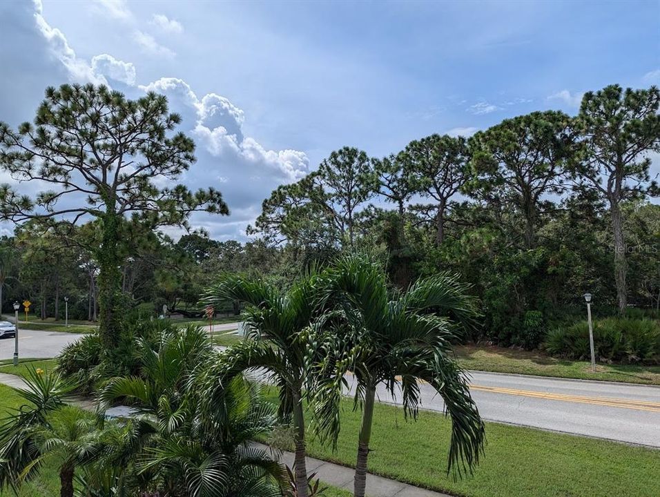 View from patio