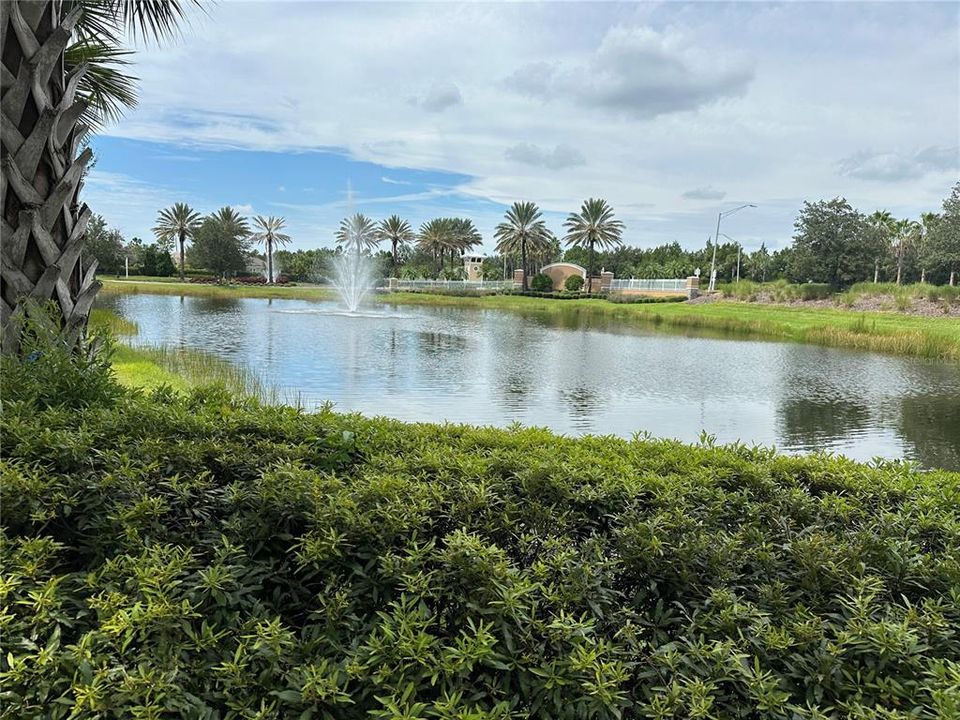 Lake View Lot