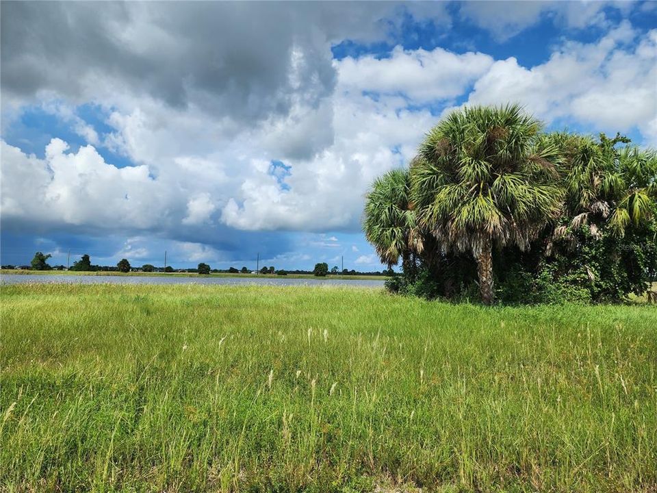 For Sale: $47,900 (0.19 acres)