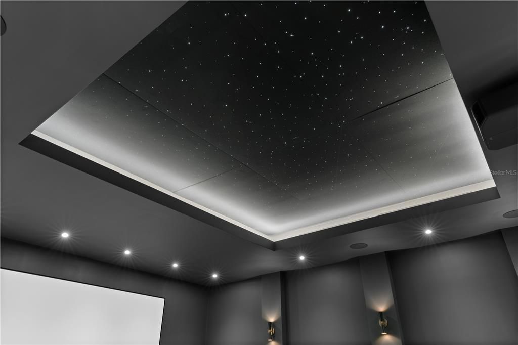 Home Theatre under the stars featuring wet bar, bathroom, bucket cinema seats and sofa seating.