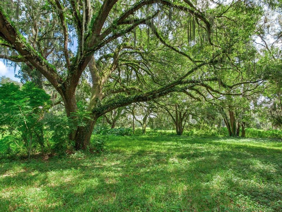 На продажу: $1,100,000 (9.12 acres)