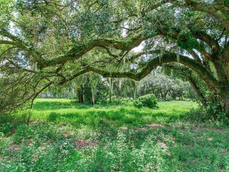 На продажу: $1,100,000 (9.12 acres)