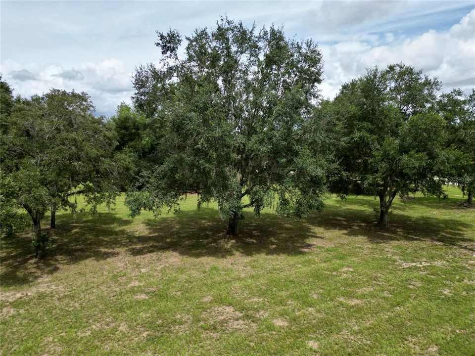 For Sale: $265,000 (4.22 acres)