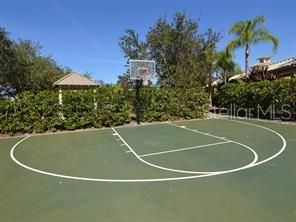 Basketball Court