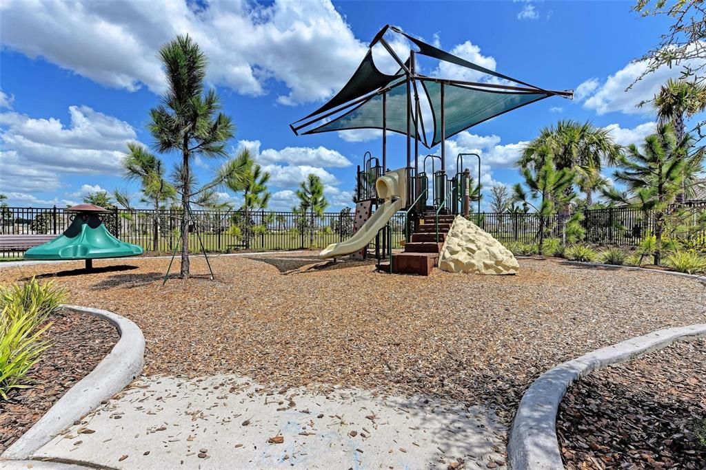 Community Playground